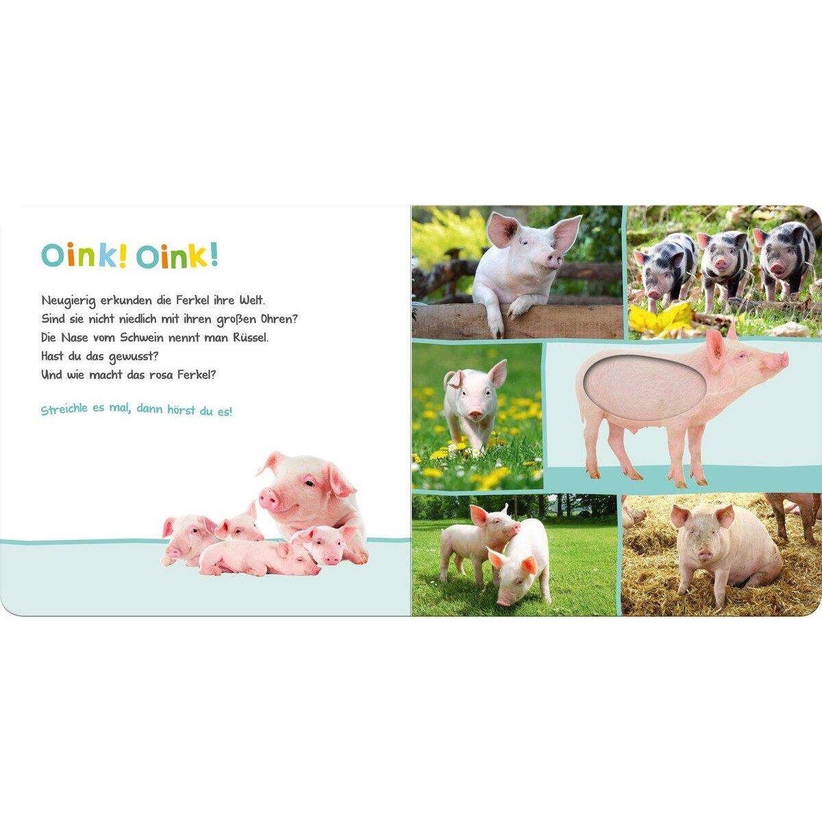 ars Edition Hör mal rein, wer kann das sein? Bauernhoftiere