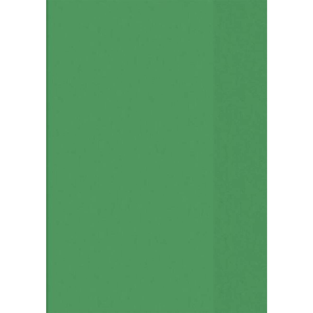 BRUNNEN Hefthülle A4, transparent grün