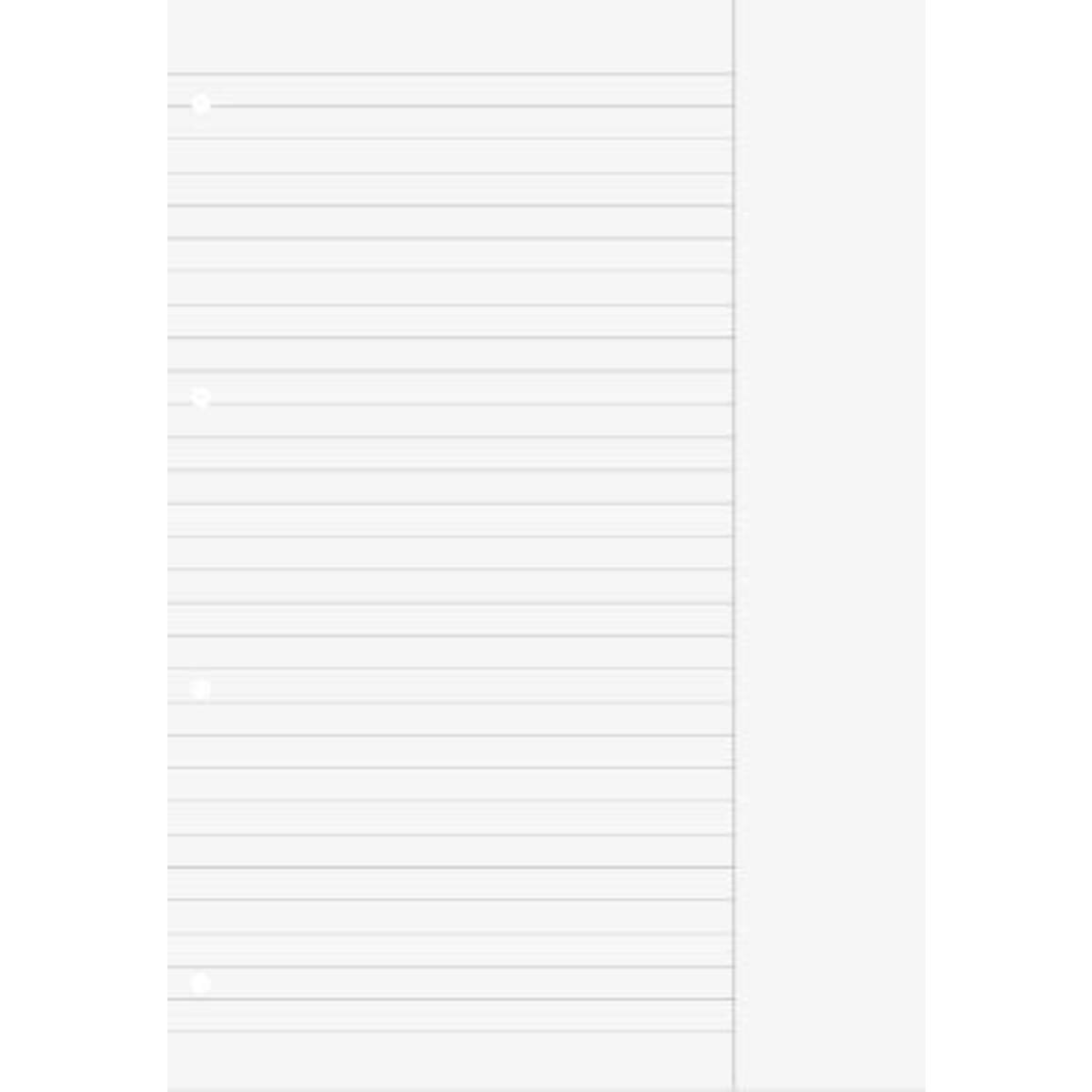 BRUNNEN Schulblock A4 Nr. 25 liniert mit weißen breitem Rand