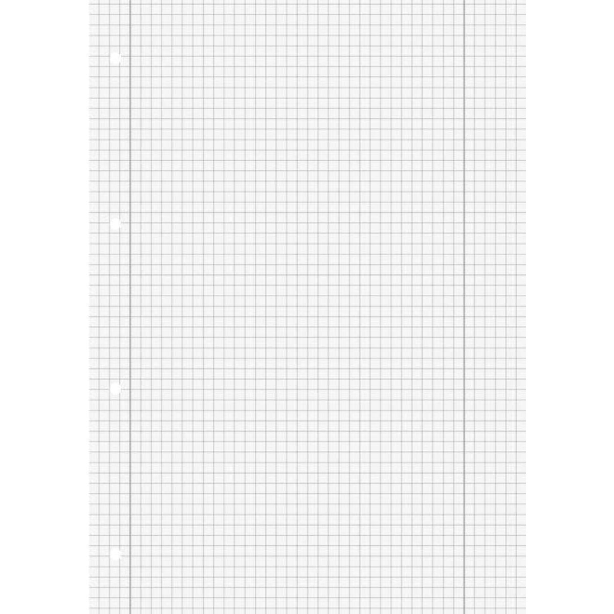 BRUNNEN Schulblock grau A4, 50 Blatt, gelocht, LIneatur 28