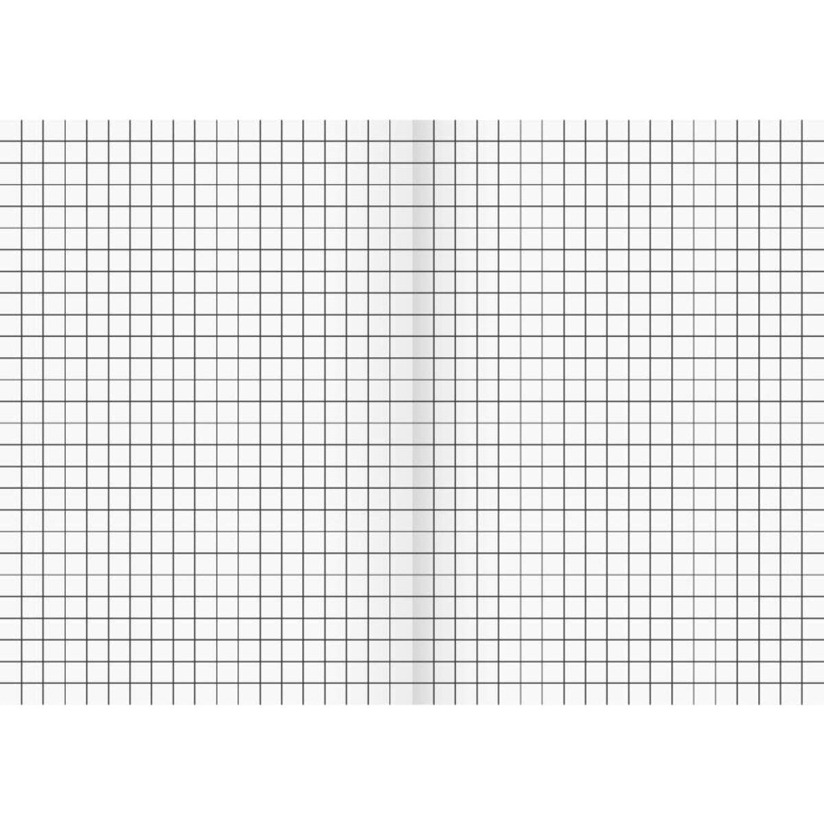 BRUNNEN Schulheft A5, kariert, Lineatur 5, 16 Blatt