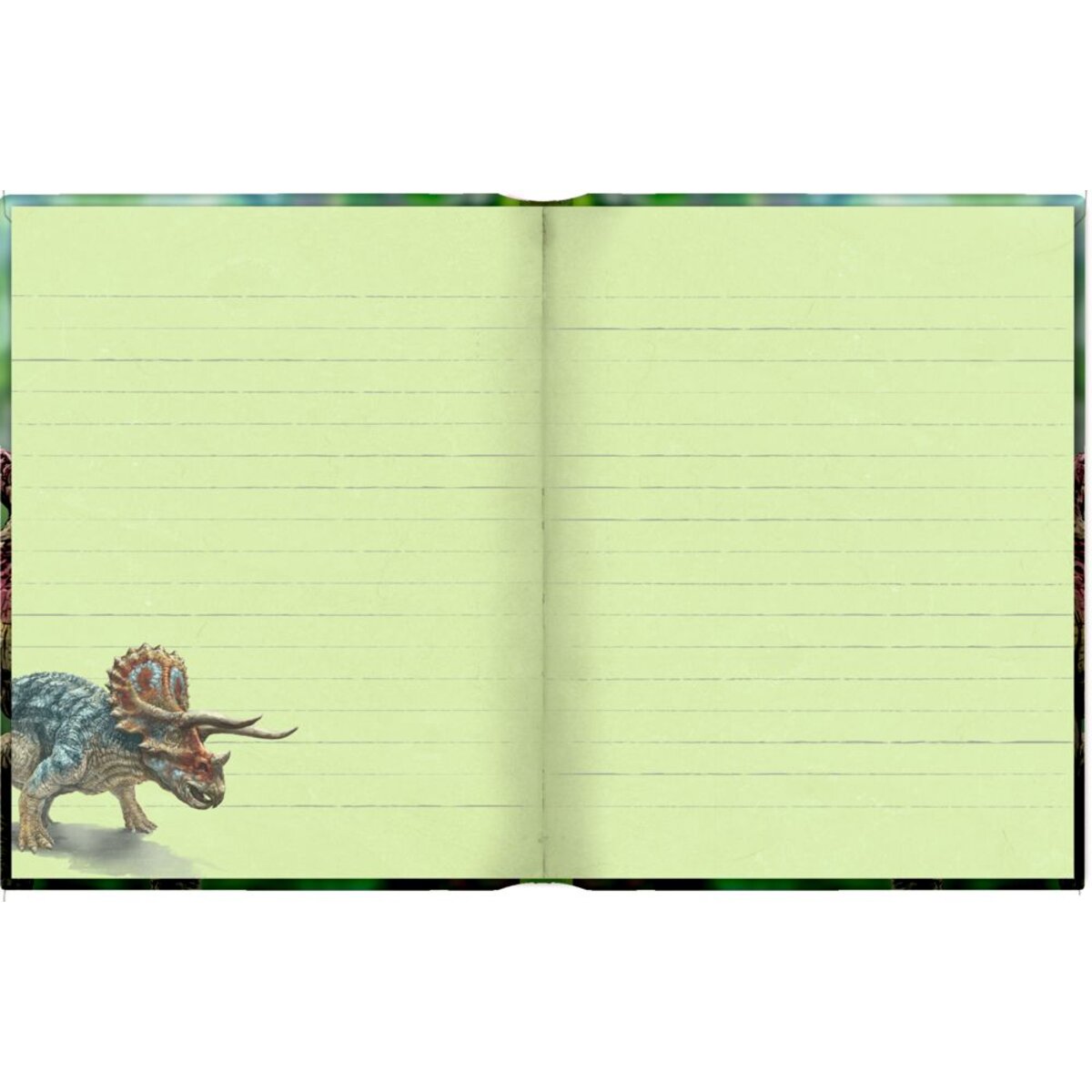 Coppenrath Verlag Tagebuch Top Secret - T-Rex World