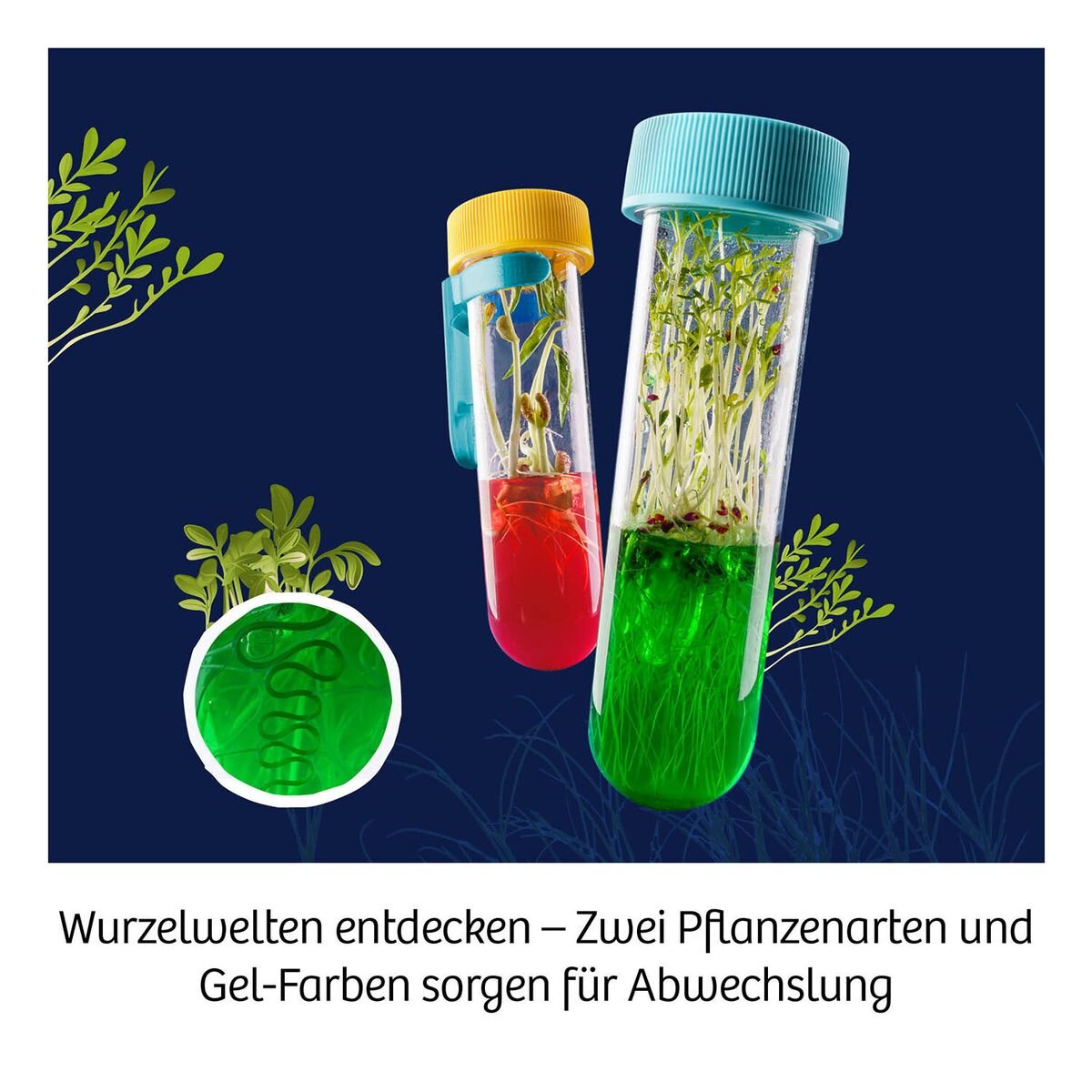 KOSMOS Fun Science Aqua-Gel Pflanzen