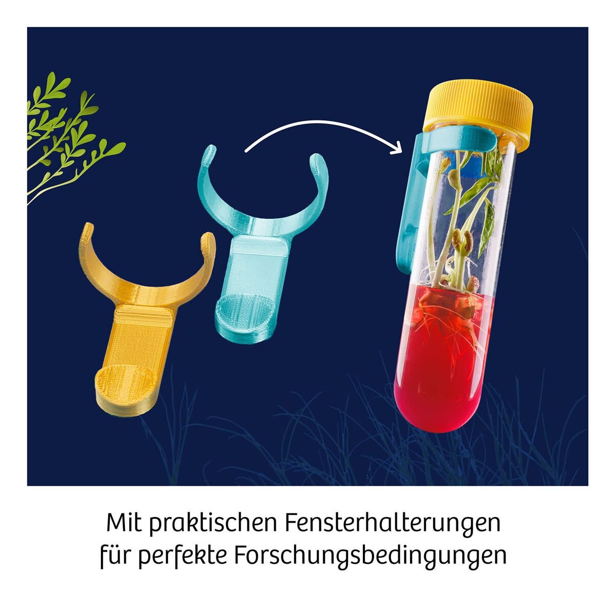 KOSMOS Fun Science Aqua-Gel Pflanzen