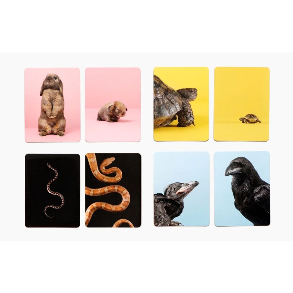 Laurence King Verlag klein & groß Ein Tierbaby-Memo