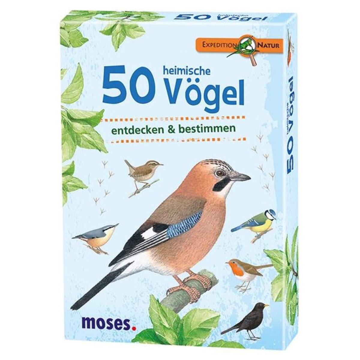 moses. Expedition Natur 50 heimische Vögel