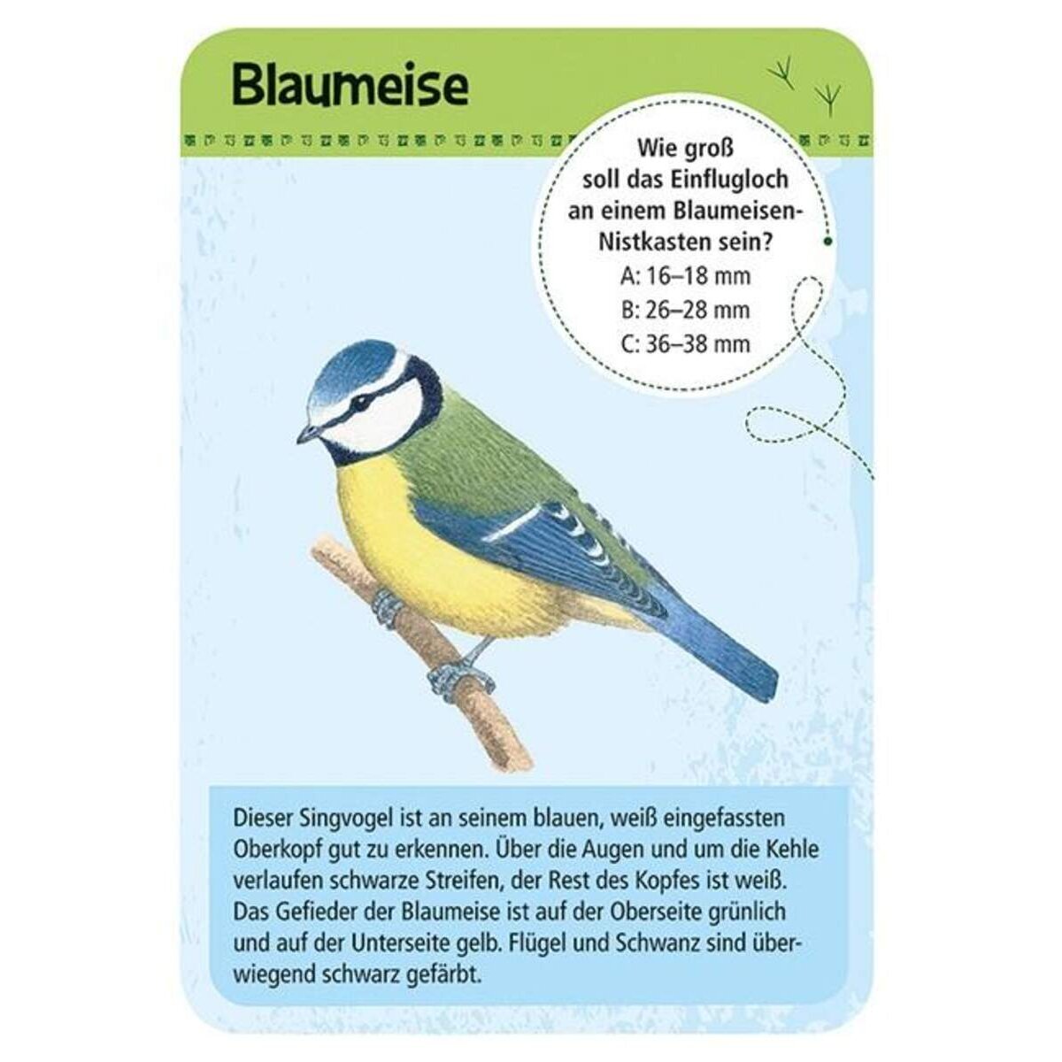 moses. Expedition Natur 50 heimische Vögel