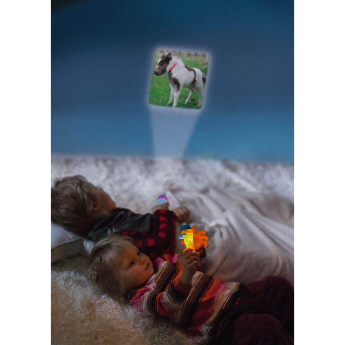 moses. Kleine Diashow Pferde