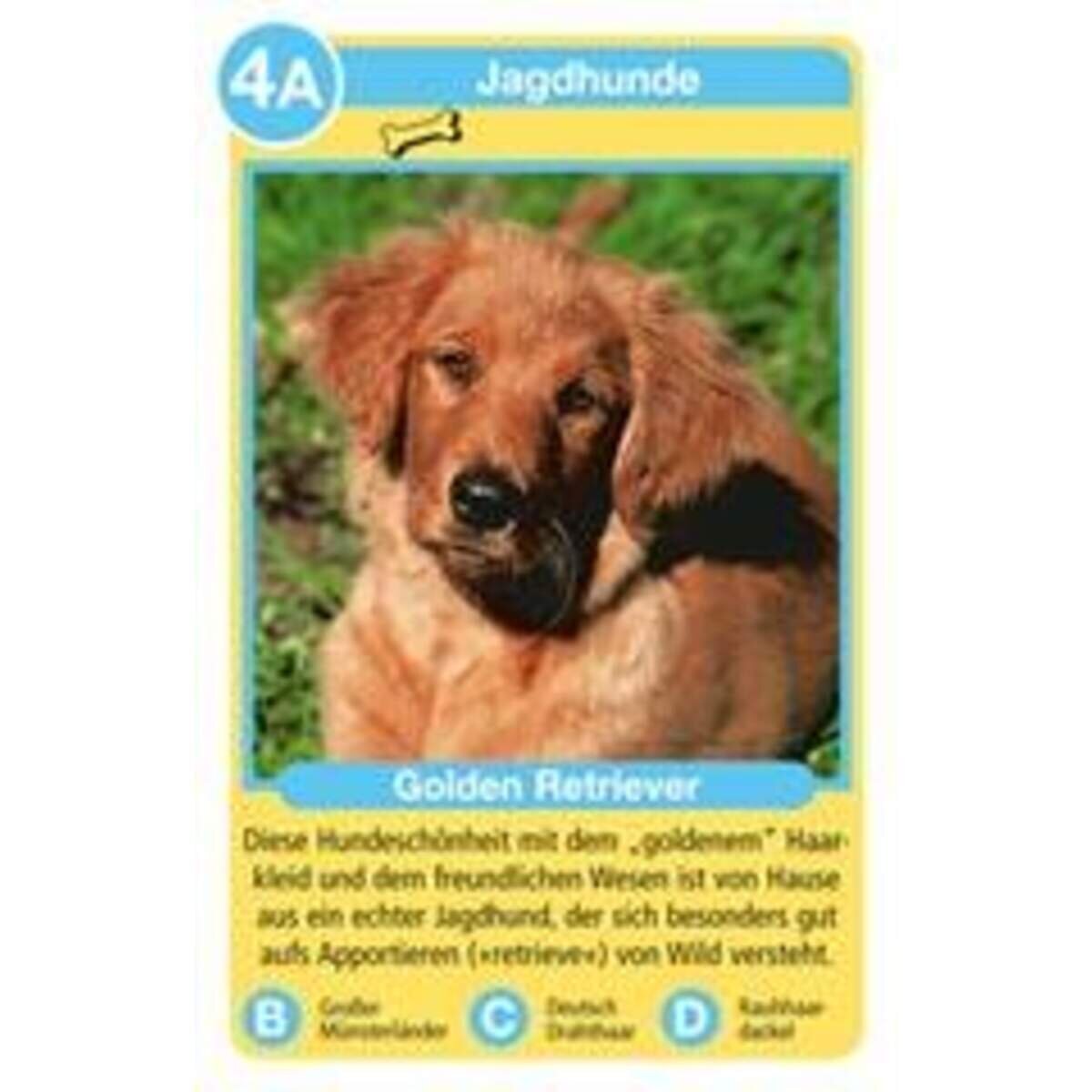 Ravensburger Hunde Tier-Quartett