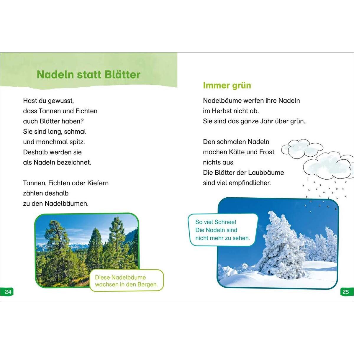 WAS IST WAS Erstes Lesen easy! Band 1. Entdecke die Bäume