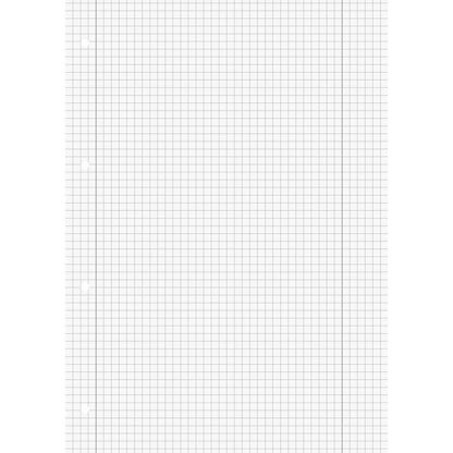 BRUNNEN Schulblock A4 50 Blatt, gelocht, Lineatur 28