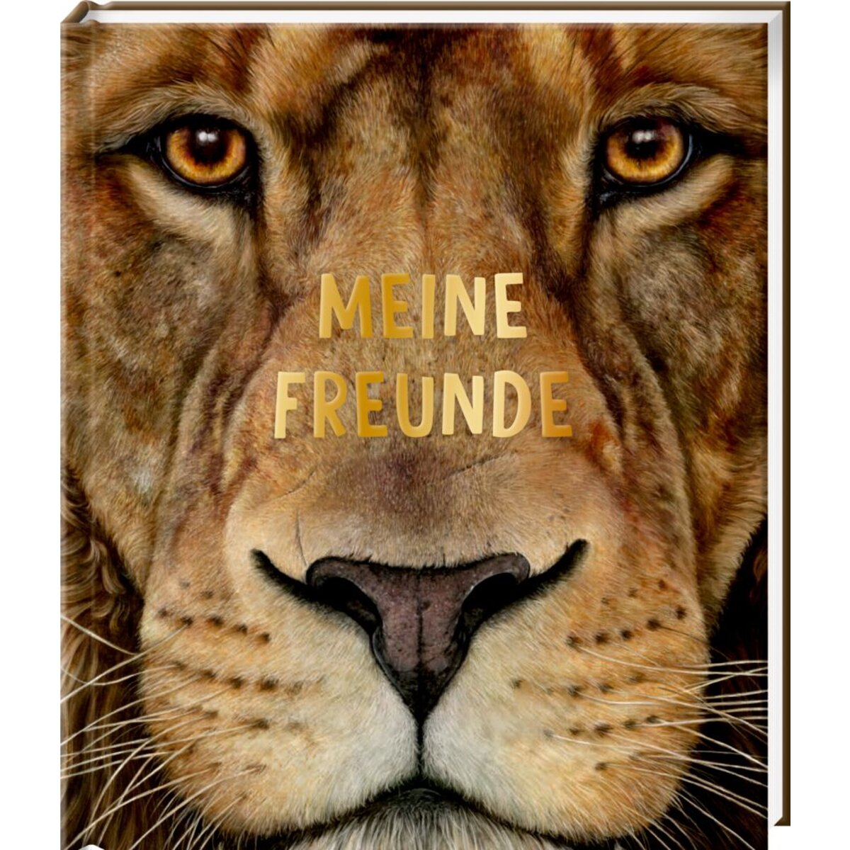 Coppenrath Verlag Meine Freunde: Lebensgroße wilde Tiere Afrikas