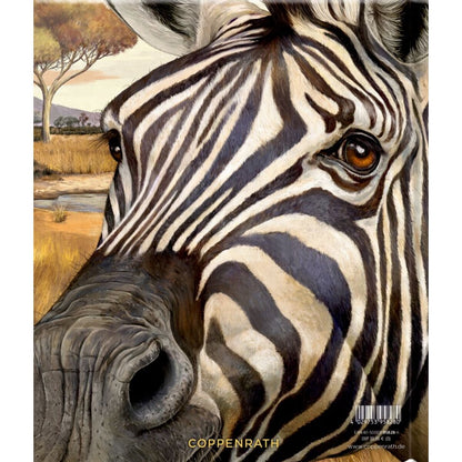 Coppenrath Verlag Meine Freunde: Lebensgroße wilde Tiere Afrikas