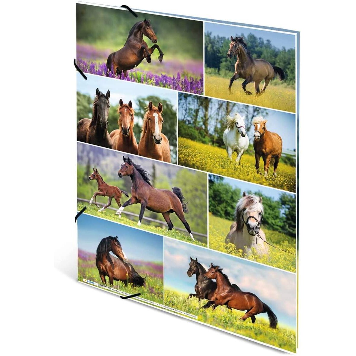 HERMA Sammelmappe Pferdewiese aus Karton DIN A3