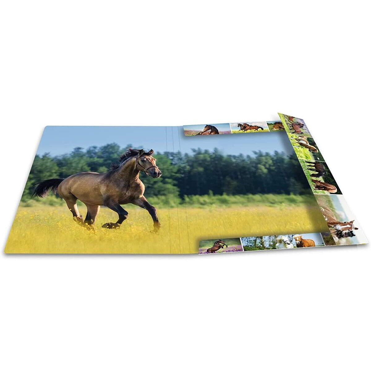 HERMA Sammelmappe Pferdewiese aus Karton DIN A3