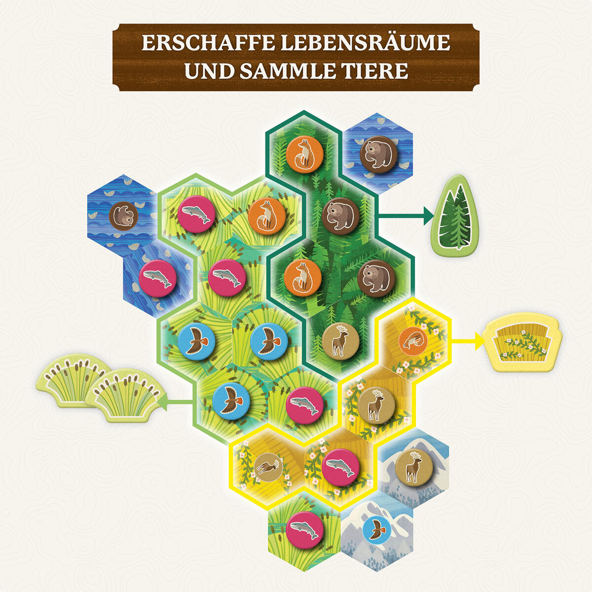 KOSMOS Cascadia Junior