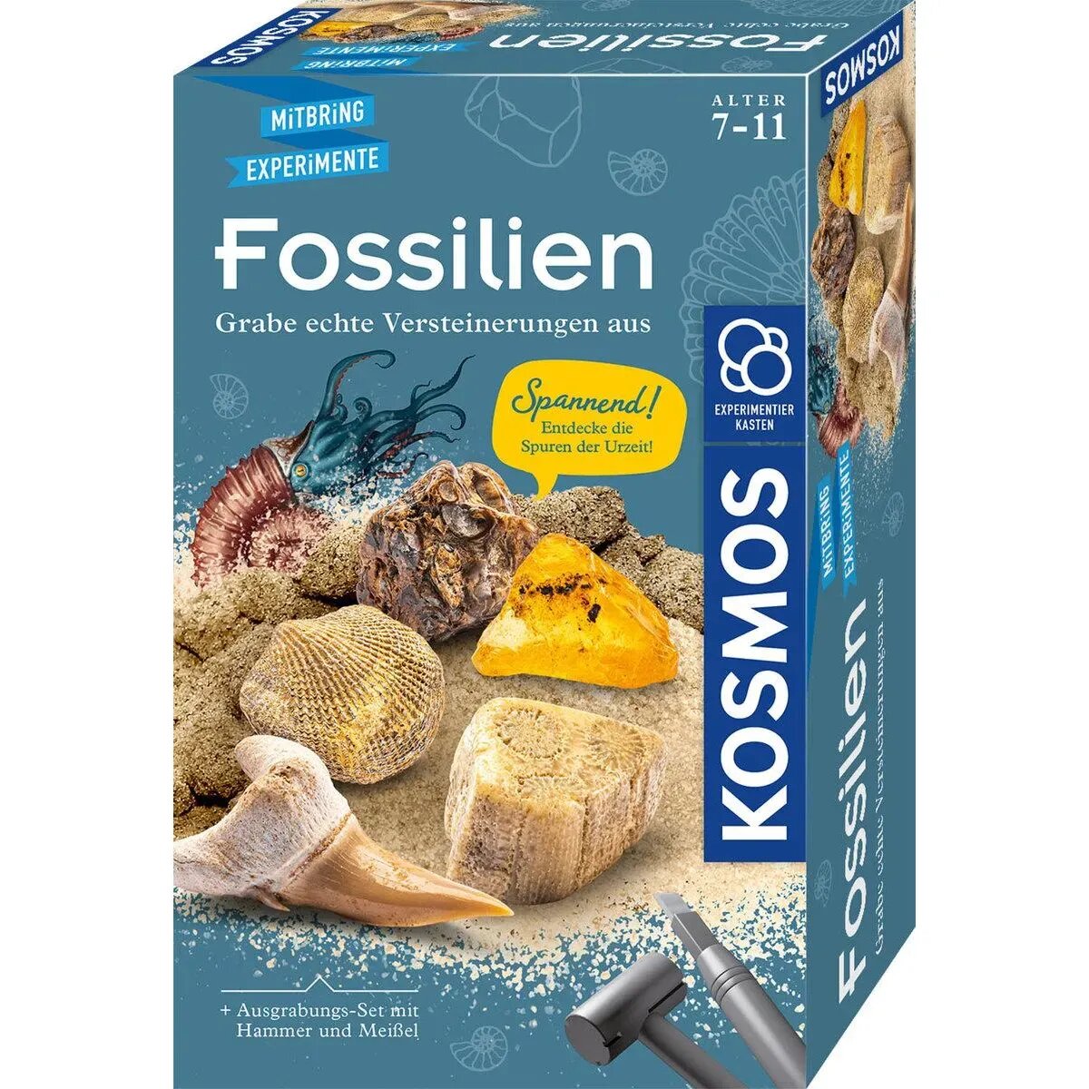 KOSMOS Fossilien Ausgrabungs-Set