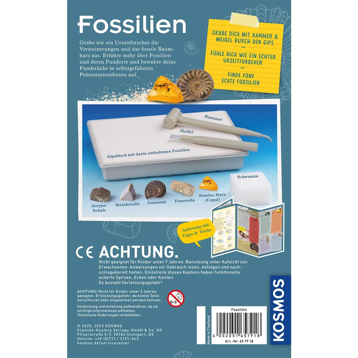 KOSMOS Fossilien Ausgrabungs-Set