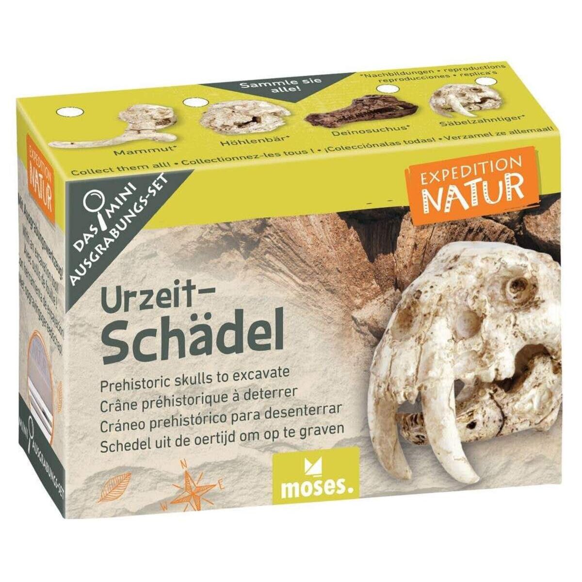 moses-expedition-natur-mini-ausgrabungsset-83281AC85.jpg
