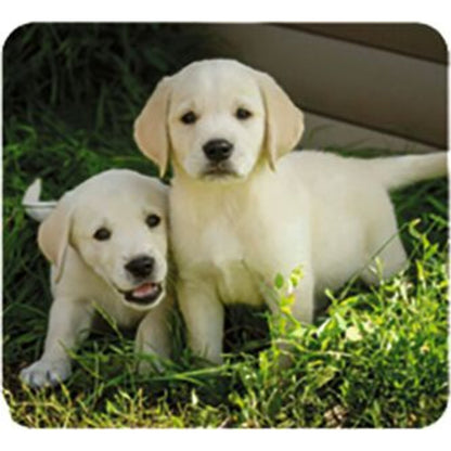 moses. Kleine Diashow Tierbabys