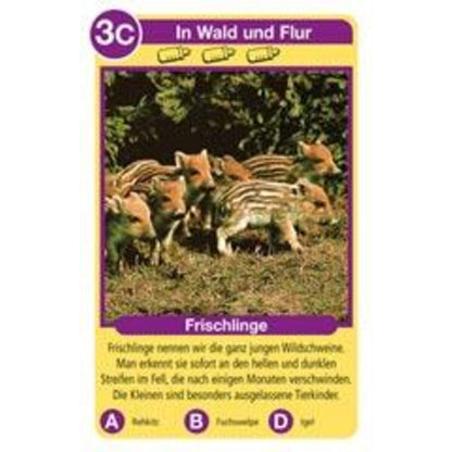 Ravensburger Tierkinder Quartett