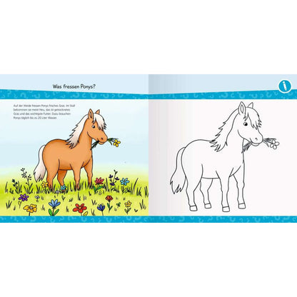 Ravensburger Wieso? Weshalb? Warum? junior AKTIV: Auf dem Ponyhof